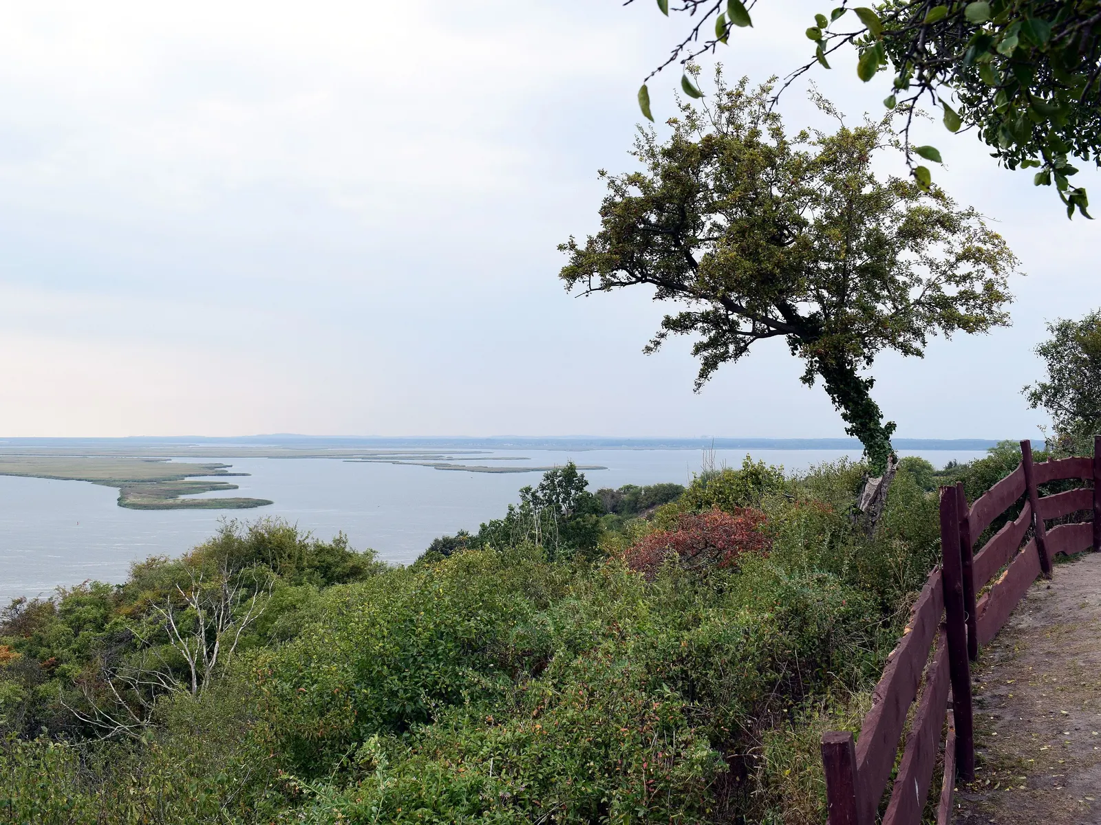 View from the Lubin hillfort over the islands of the Świna backwater delta